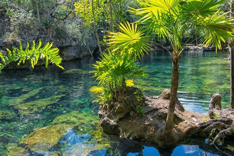 Les Meilleurs Cenotes Du Chiapas