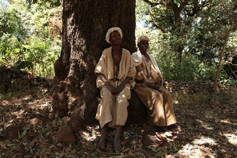 The Church Forests Of Ethiopia Emergence Magazine