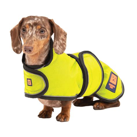 Shower Waterproof Dachshund Coat Ginger Ted Ginger Ted Ltd