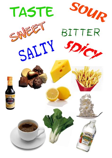 CHARTRES FESTIVAL OF LIGHTS/AUTUMNAL EQUINOX, FOOD & WINE TASTING