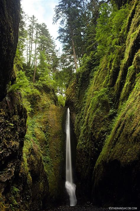 The Oneonta Gorge Hike To Lower Oneonta Falls Scenic Road Trip