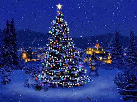 Email Forwards Fun Beautiful Winter Christmas Trees