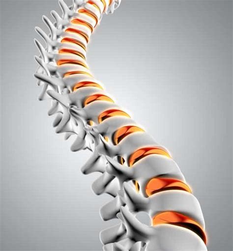 La Postura De Espalda ¿como Mantenerla Correctamente Ortopedia 41