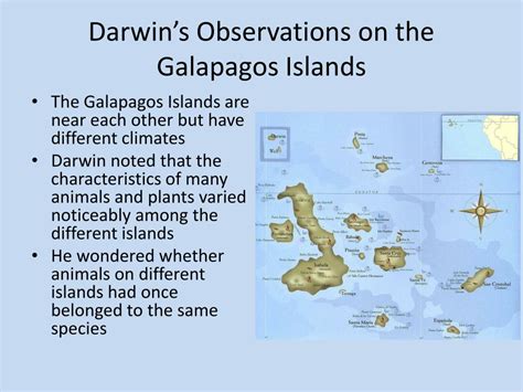 Ppt Ch 15 Darwins Theory Of Evolution Powerpoint Presentation Id