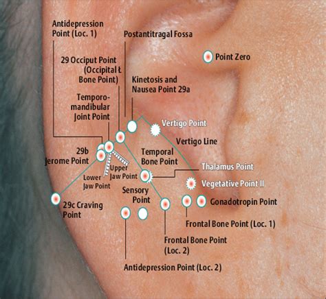 Topography And Indications Of Auricular Acupuncture Points According To
