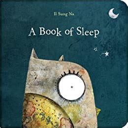 A Book Of Sleep Il Sung Na Amazon Com Books