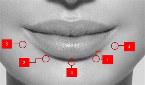 Kedutan Bibir Atas Kanan Apa Artinya Dan Penyebabnya Simbol Co Id