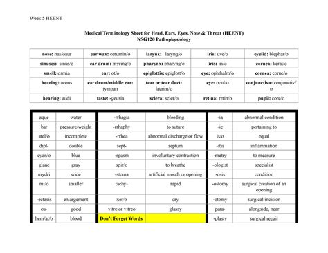 Module Medical Terminology Sheet For Heent System Medical