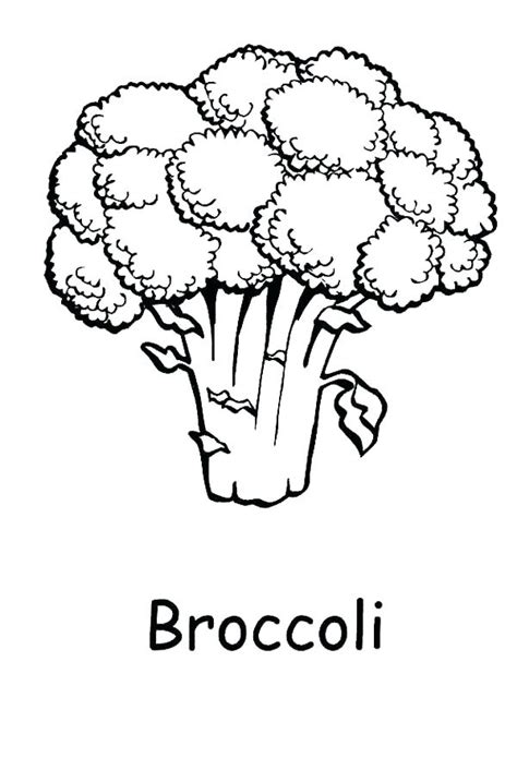 The series can target cricket inexperienced, a mischievous and optimistic country boy united nations agencymoves to the large town along with his family. Broccoli Coloring Page at GetColorings.com | Free ...