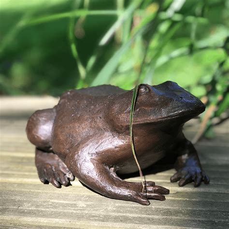 Bronze Frog Quality Bronze Garden Statue By Adams Bronze