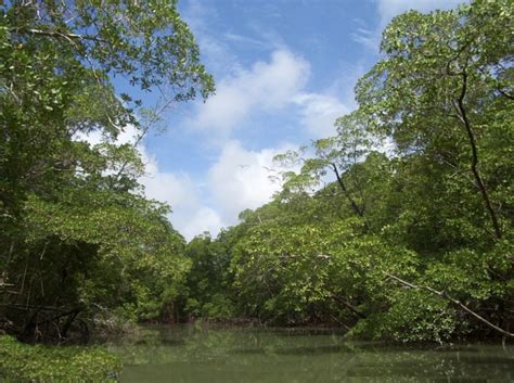 Nephicode Change In Amazon Climate 2000 Years Ago Part Ii