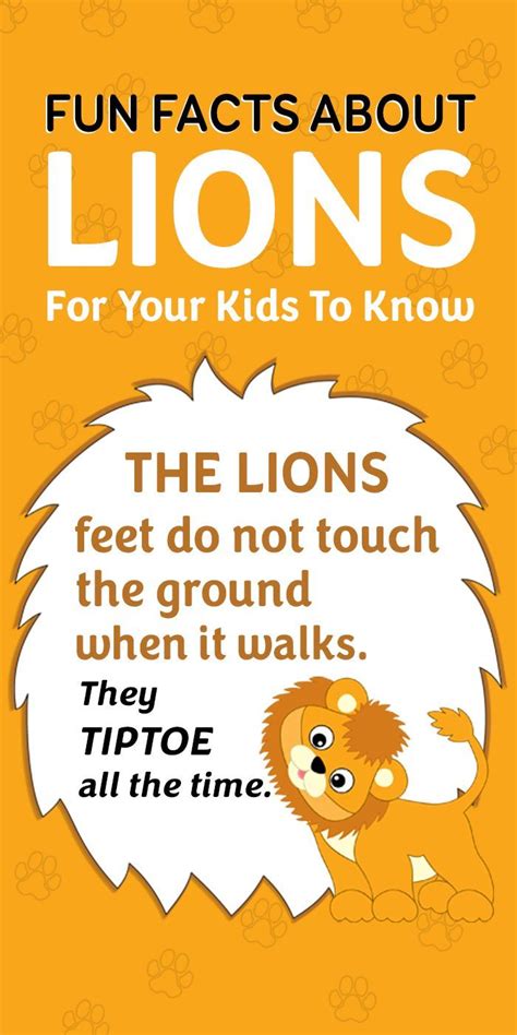 Home > facts > animals facts. 55 Interesting And Fun Lion Facts For Kids | Lion facts for kids, Facts for kids, Animal facts ...