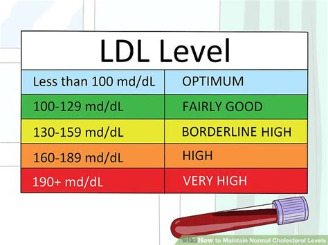 Triglycerides Level Chart By Age And Height And Weight Online Shopping