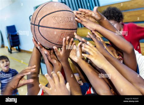 Miami Florida,Miami Dade County,Coconut Grove,Virrick Park,gym