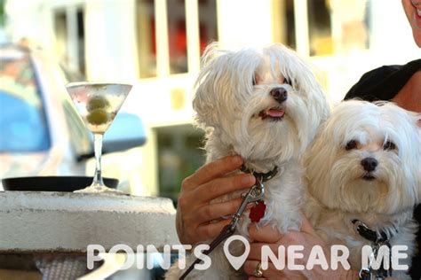 DOG FRIENDLY RESTAURANTS NEAR ME - Points Near Me