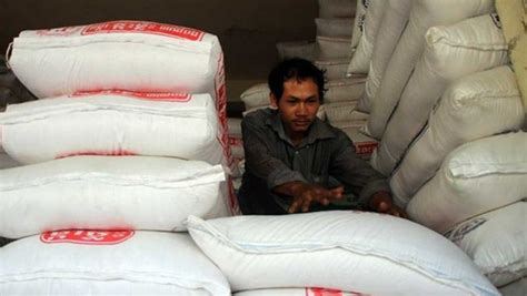 Rice Exports Cambodia Surge Vietnam Times