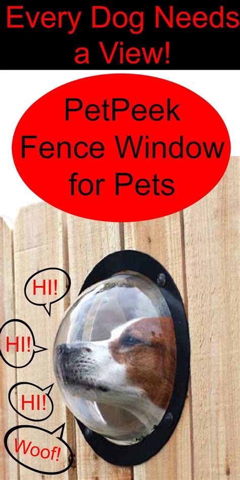 Petpeek Fence Window For Pets Lets Pets See Outside The Fence