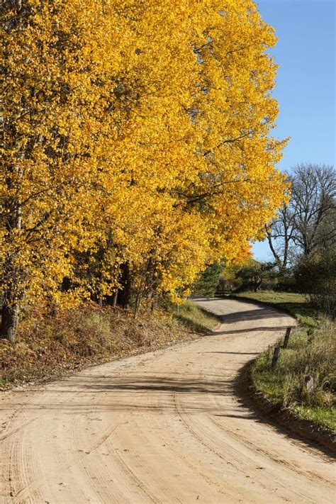 Beautiful Curvy Countryside Gravel Road With Autumn Trees On Sides