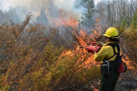 Showcasing The Dnr Behind The Dnrs Firefighting Front Lines