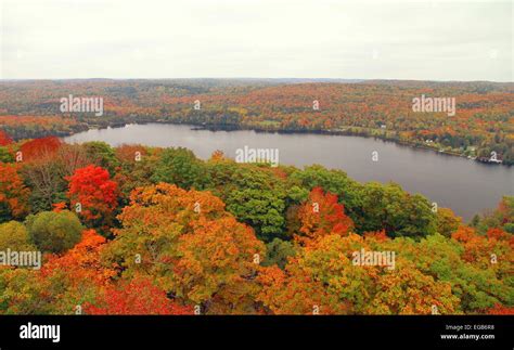 Panoramic View From The Lookout Tower In Dorset Ontario Canada Stock