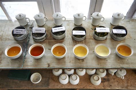What Is The Specialty Tea Industry