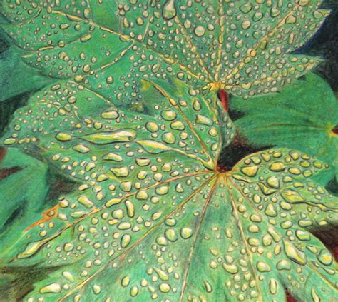 Colored Pencil Leaves By Miac5454 On Deviantart