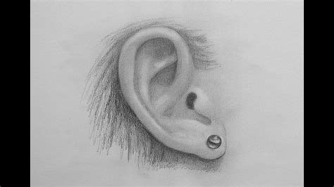 How To Draw A Realistic Ear Youtube