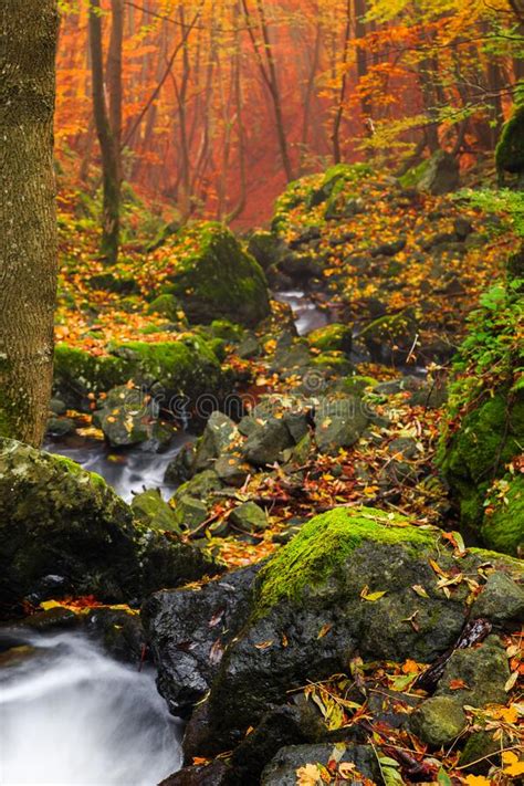 Autumn Stream With Mossy Rocks Stock Photo Image Of Peace Branch
