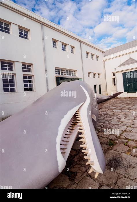 Whaling Factory Santa Cruz Das Flores Flores Island Azores Portugal