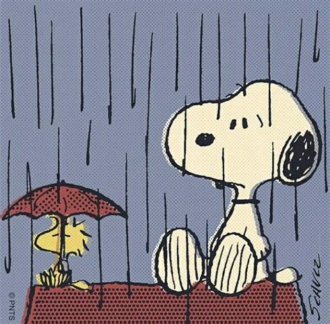 Pin By Alma Vidrio On Rainy ☔ Snoopy Love Snoopy Snoopy Pictures