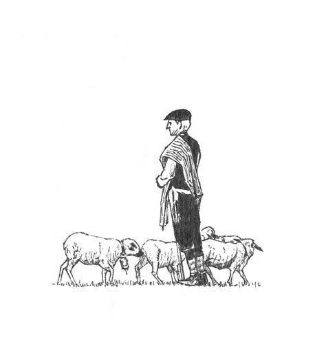Pastor y ovejas Dibujo esquemático realizado a tinta china Flickr