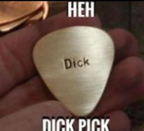 Dick Pick R Technicallythetruth