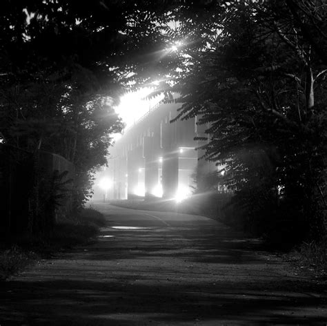 Walk Into The Light Foggy Night On Lakeshore Boulevard To Flickr