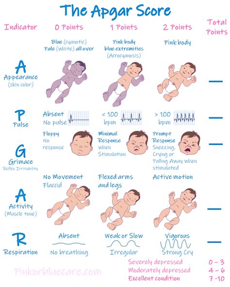 The Apgar Score With Printable Sheet Pediatric Nursing Nursing
