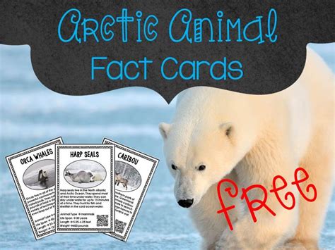 Arctic Animals A Sensory Writing Activity Grade School Giggles