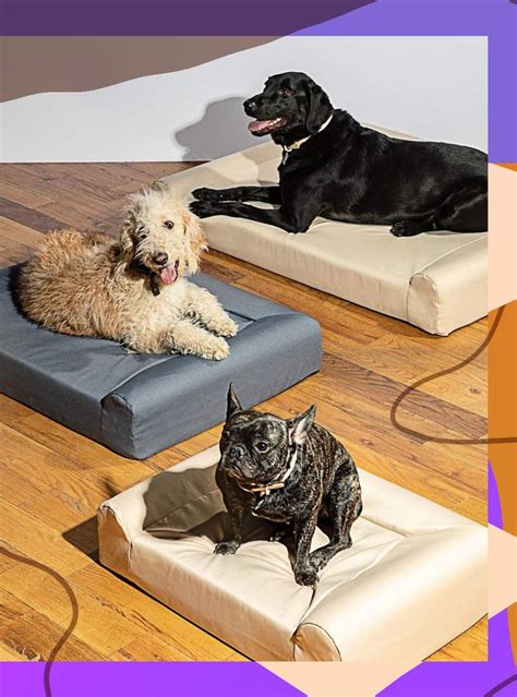 The Best Dog Beds According To The Internets Comfiest Pups Cool Dog