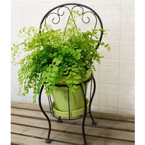 Park your favorite petals in this decorative metal chair planter that works wonderfully outdoors or inside your home. Iron Metal Chair Planter Holder | Outdoors | Pinterest | Chair planter, Metal chairs and Chairs