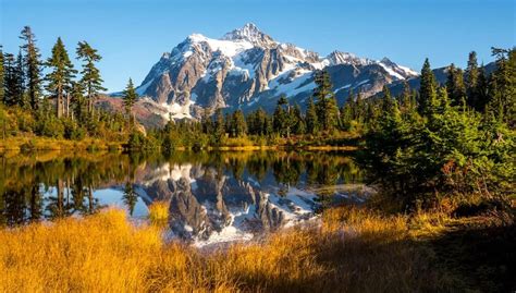 The Top 5 Most Beautiful National Forests In The United States Rosbrense