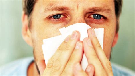 Los 5 Mejores Remedios Caseros Para Combatir La Alergia