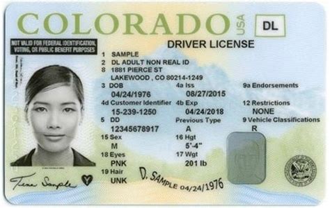 Drivers License Front Snapshot With Scannable Backshot My Cart For