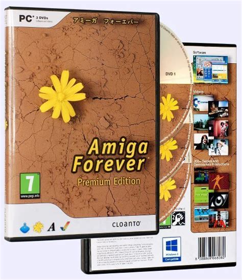 About Amiga City Amiga City