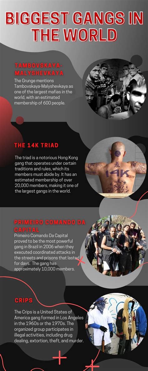The 15 Biggest Gangs In The World By Population As Of 2023 Ke