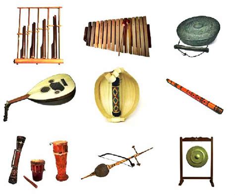 Gambar Alat Muzik Assorted Brown String Instrument Illustration Alat