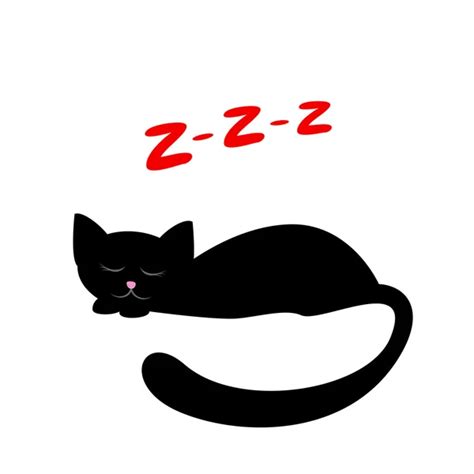 Sleeping Black Cat — Stock Vector © Romanvolkov 5536544