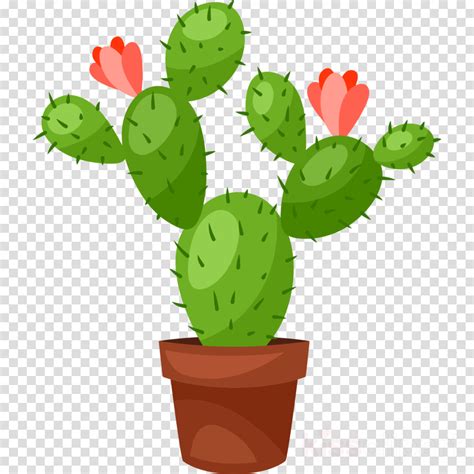 Clipart Cactus 20 Free Cliparts Download Images On Clipground 2024
