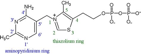 America's favorite mix is a staple for any pantry, as it compliments any barbeque or chili dish. CHEM 440 - Thiamine pyrophosphate
