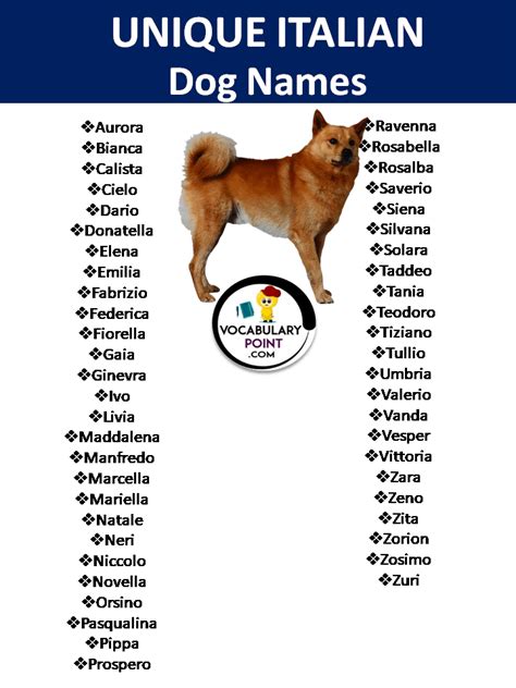 500 Italian Dog Names In English Vocabulary Point