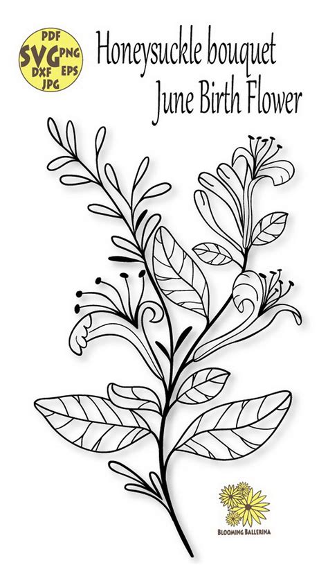 Honeysuckle birth flower Svg, June Birth, June Birth card gift, Gemini