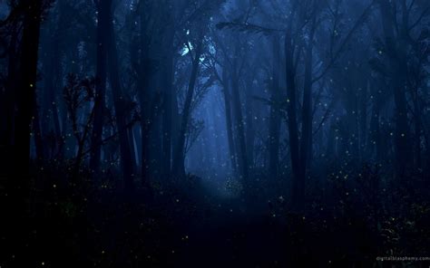 10 Top Woods At Night Wallpaper Full Hd 1920×1080 For Pc Background 2023