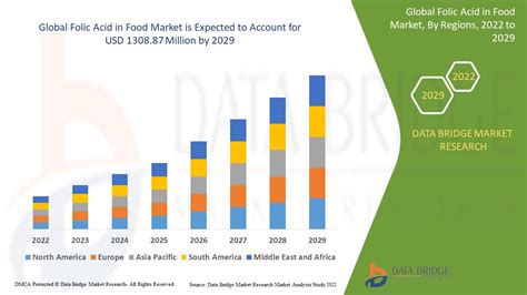 Folic Acid In Food Market Overview Future Scope Industry Analysis